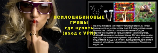 прущая мука Магадан