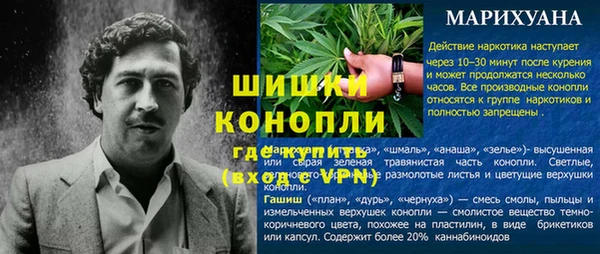 молекула духа Ельня