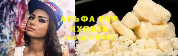 гидра Елизово
