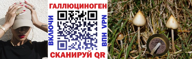 купить закладку  Питкяранта  даркнет формула  Псилоцибиновые грибы Psilocybe  MEGA ссылка 